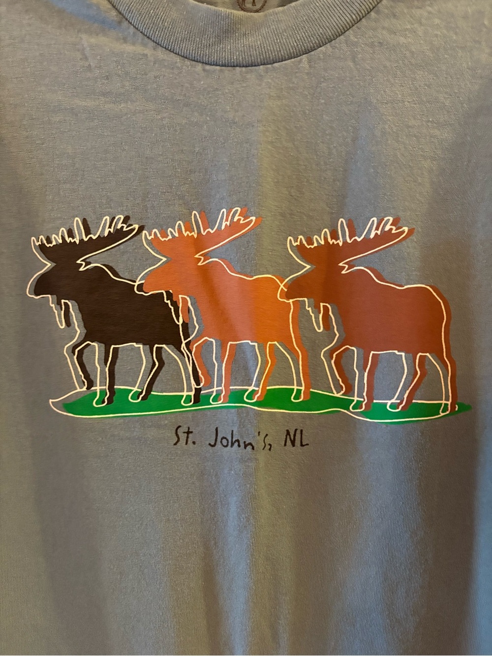 St. John's NL, Moose Graphic Men’s T-Shirt, relaxed fit, Sz L. Made in Canada.. - Picture 2 of 6